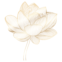 fleur-or-zwang-siarnowski-avocat