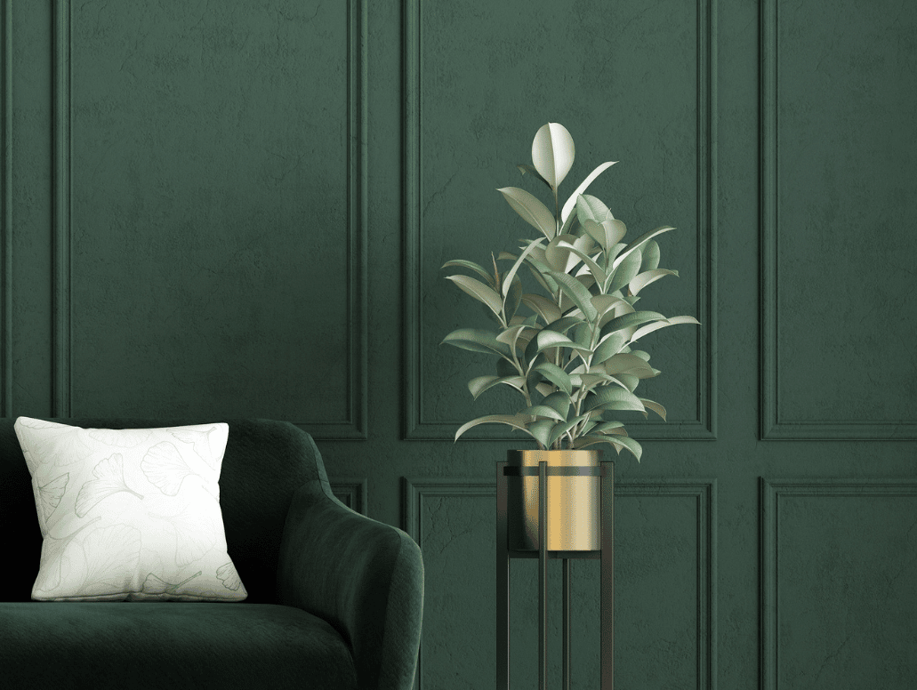 interieur-plante-canape-vert-zwang-siarnowski-avocat
